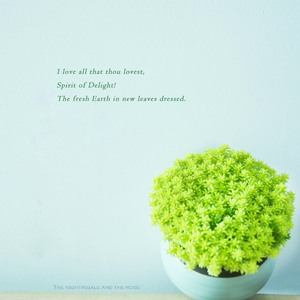 中文字幕在线入口
